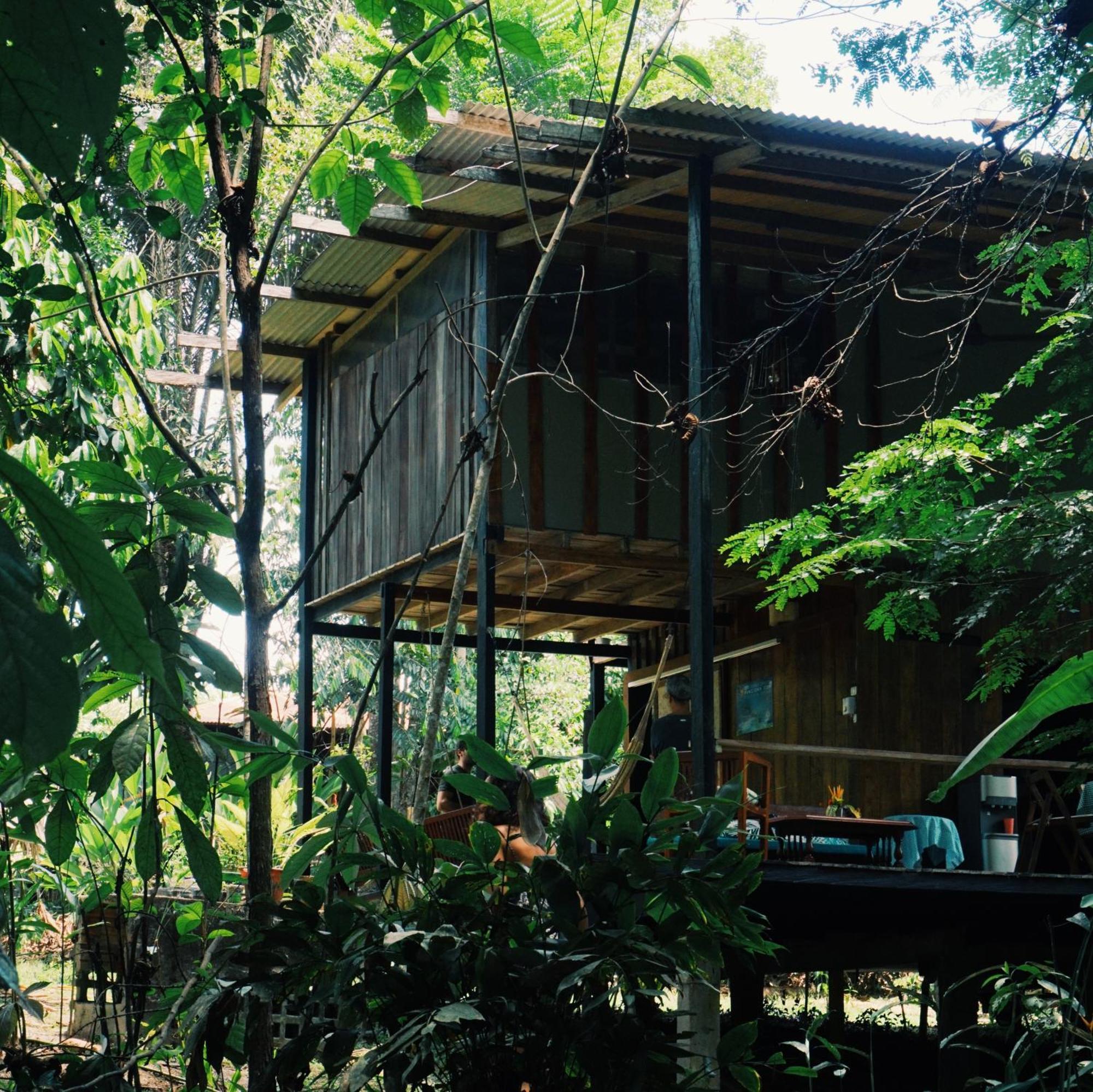Amazona Lodge Летісія Екстер'єр фото